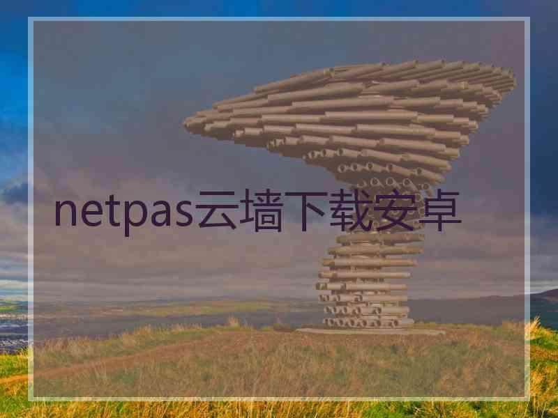 netpas云墙下载安卓