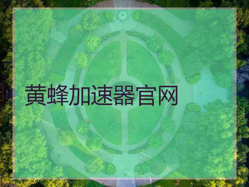 黄蜂加速器官网