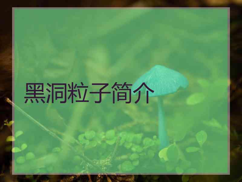 黑洞粒子简介