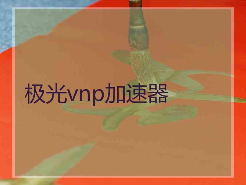 极光vnp加速器