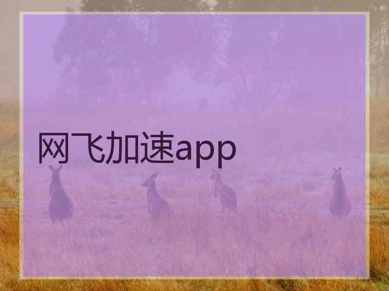 网飞加速app