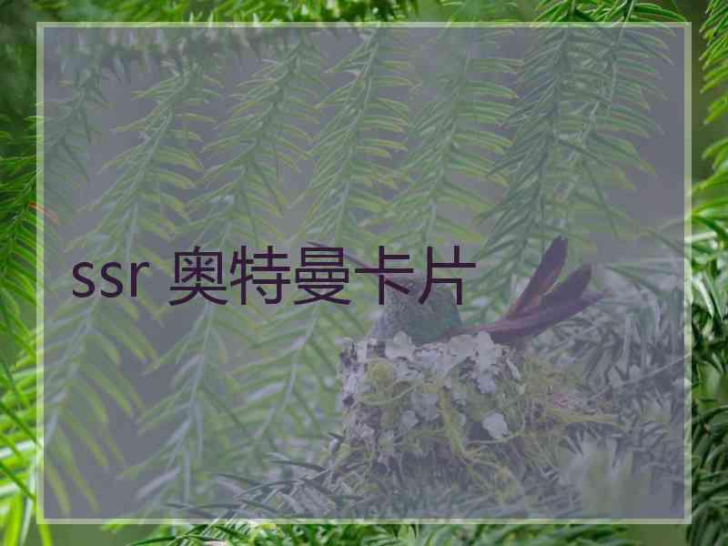 ssr 奥特曼卡片