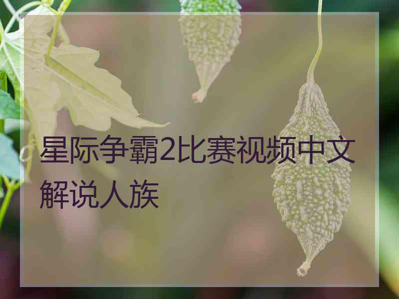 星际争霸2比赛视频中文解说人族