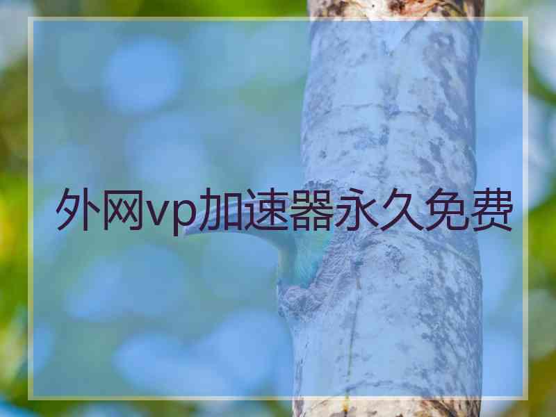 外网vp加速器永久免费