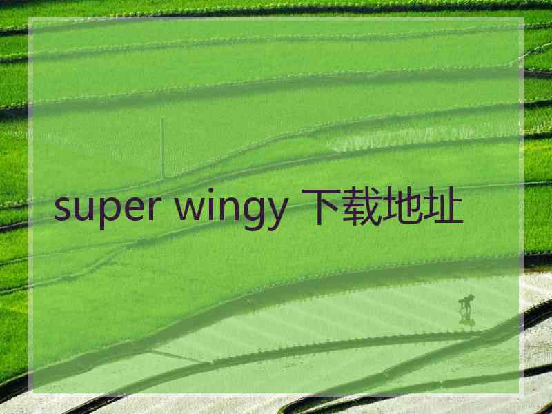 super wingy 下载地址