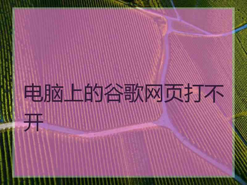 电脑上的谷歌网页打不开