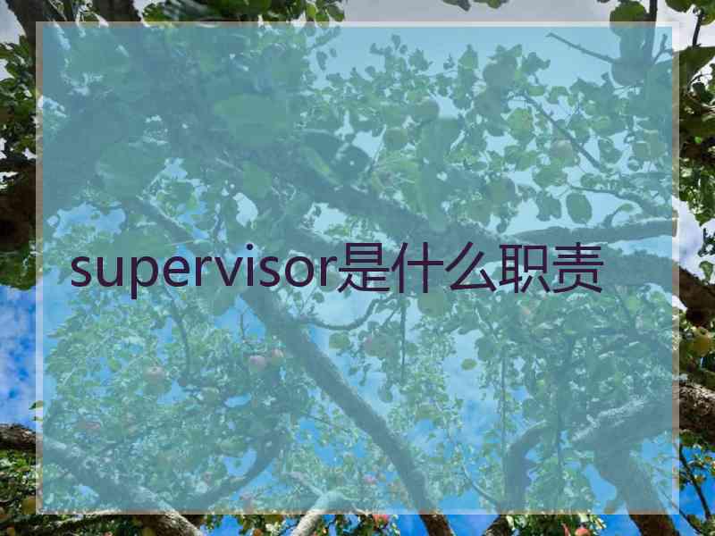 supervisor是什么职责