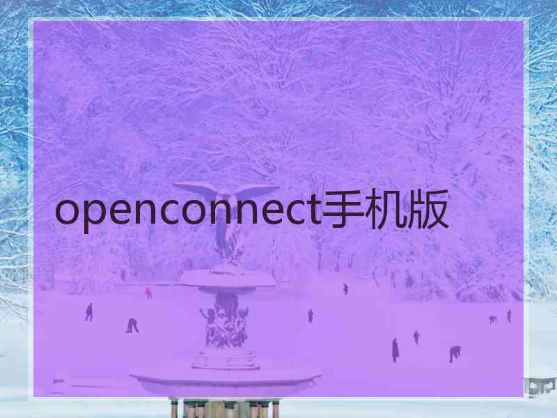 openconnect手机版