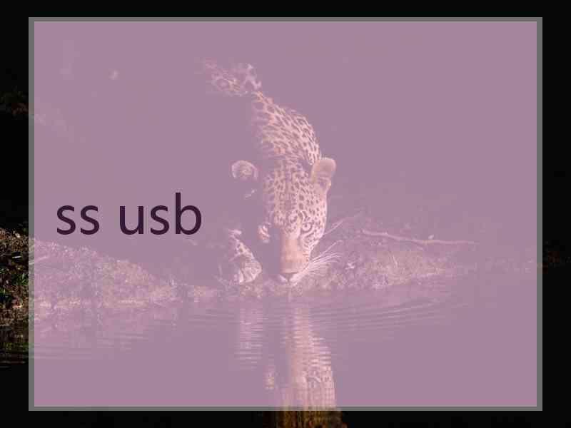 ss usb