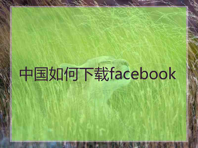 中国如何下载facebook