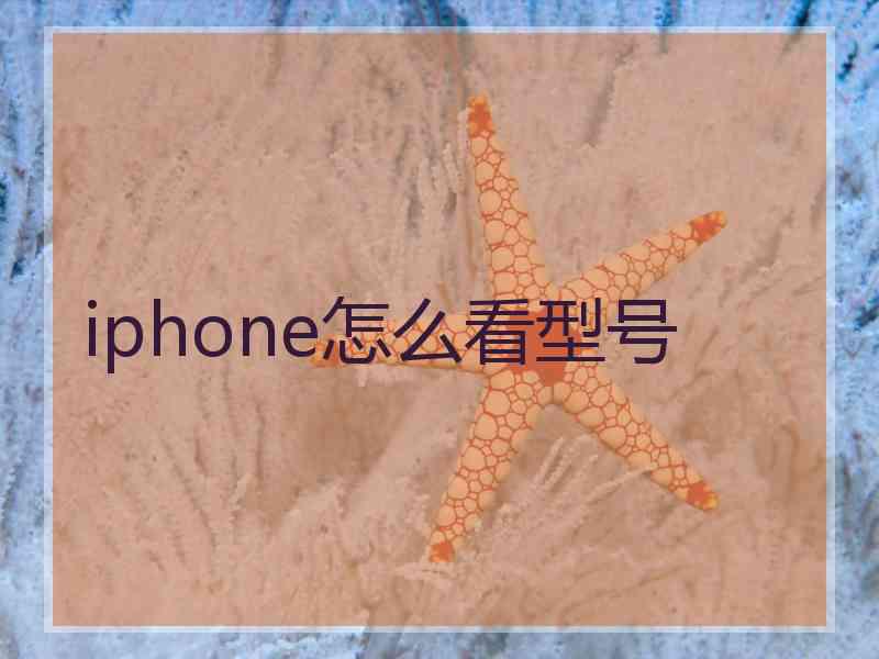 iphone怎么看型号