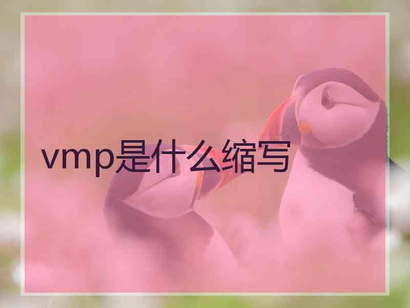 vmp是什么缩写