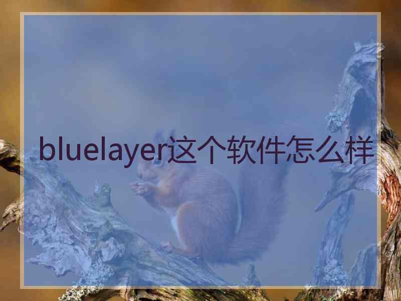 bluelayer这个软件怎么样