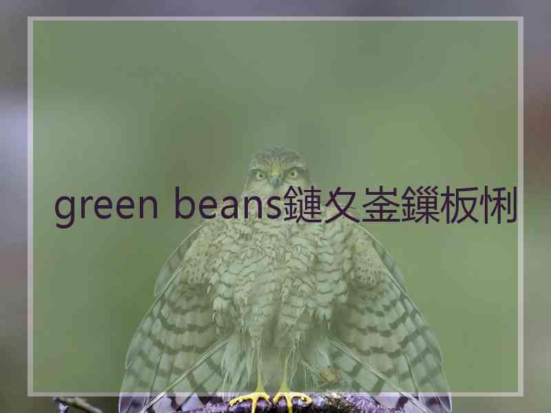 green beans鏈夊崟鏁板悧