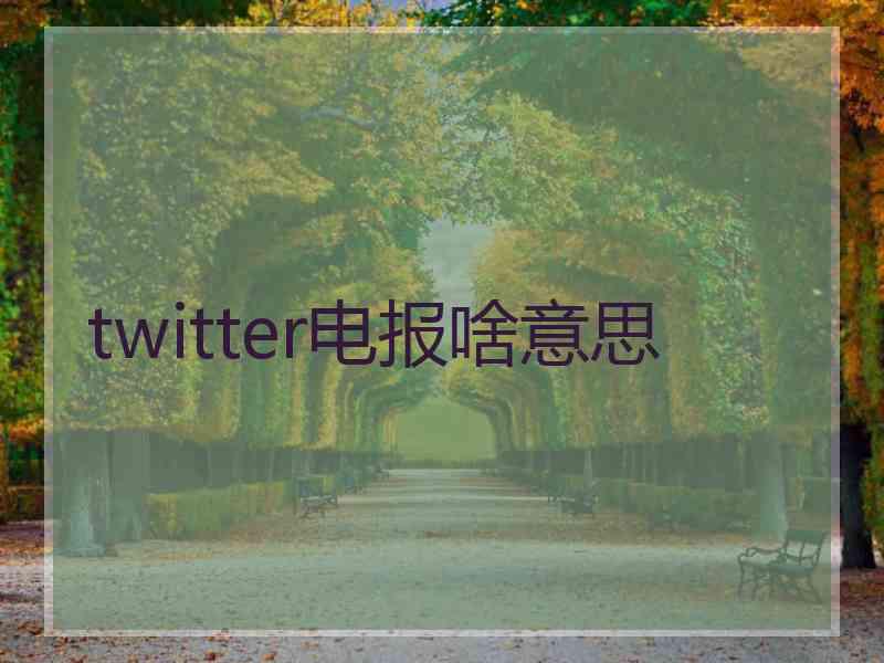 twitter电报啥意思