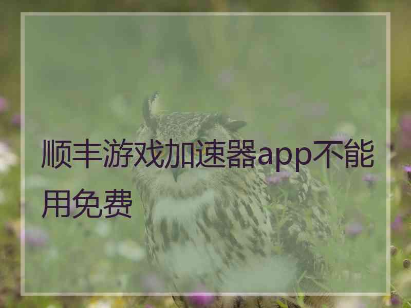 顺丰游戏加速器app不能用免费