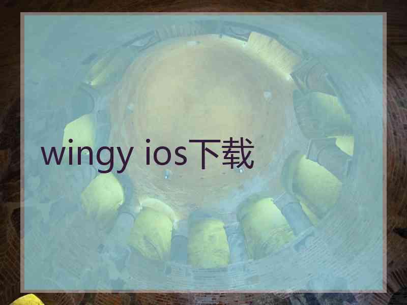 wingy ios下载