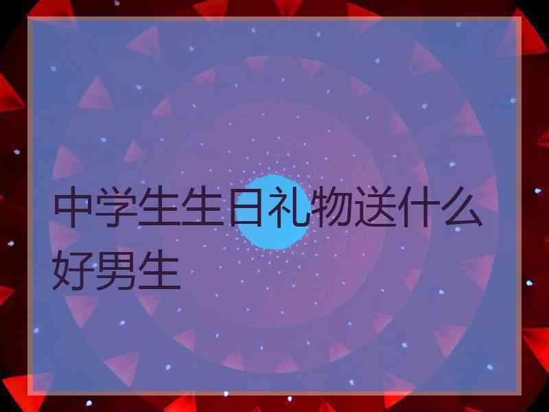 中学生生日礼物送什么好男生