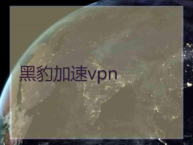 黑豹加速vpn