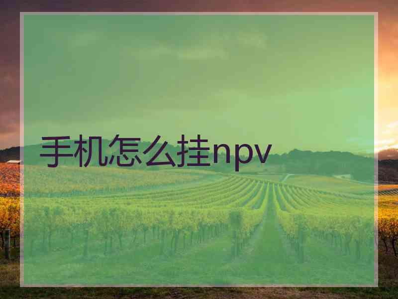 手机怎么挂npv