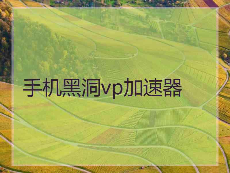 手机黑洞vp加速器