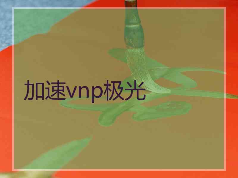 加速vnp极光