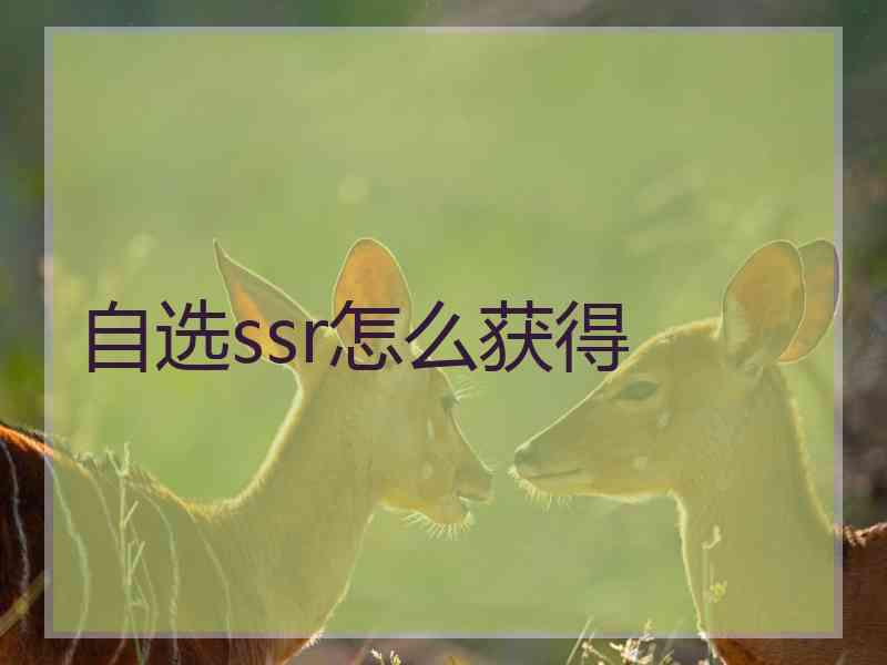 自选ssr怎么获得