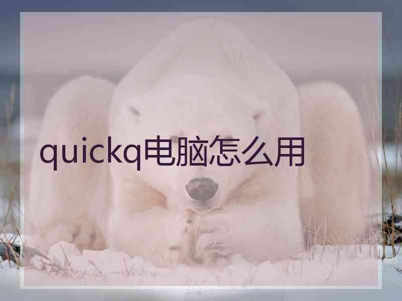 quickq电脑怎么用