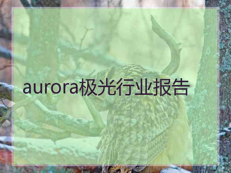 aurora极光行业报告