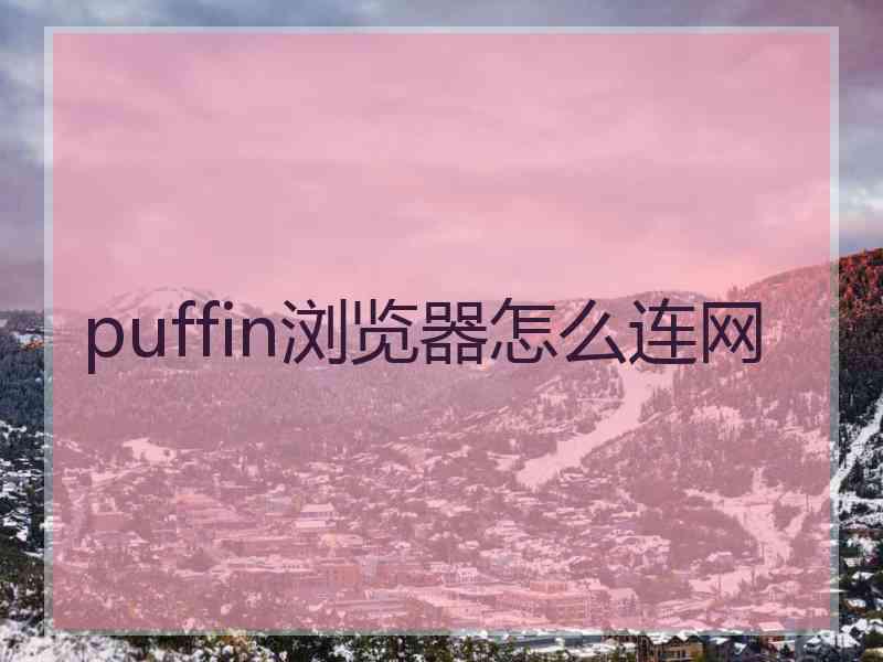 puffin浏览器怎么连网