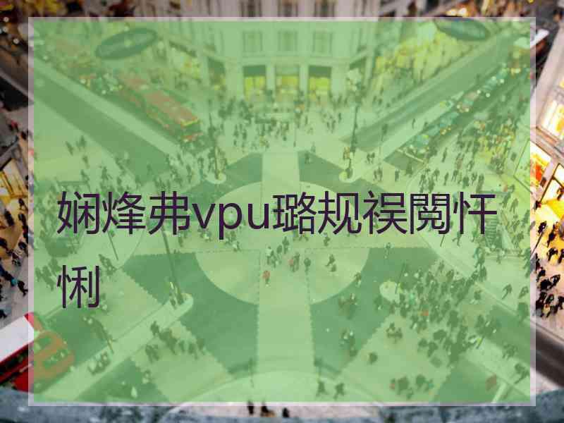 娴烽弗vpu璐规祦閲忓悧