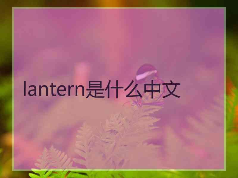 lantern是什么中文