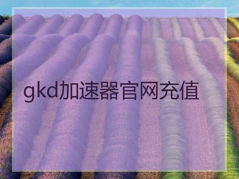 gkd加速器官网充值