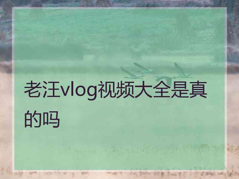 老汪vlog视频大全是真的吗