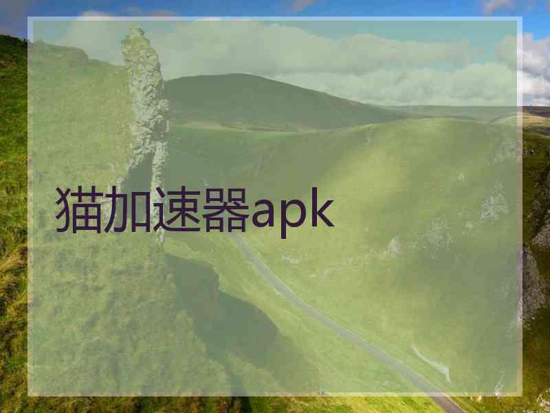 猫加速器apk