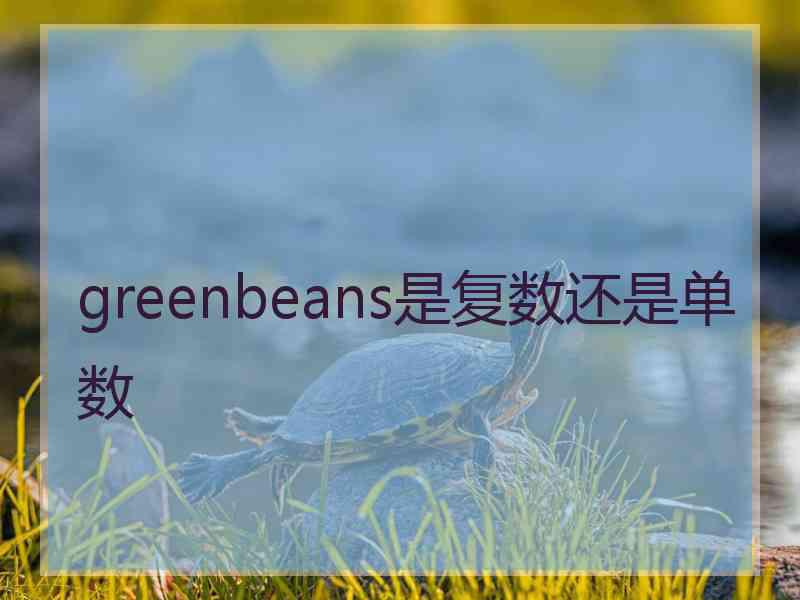 greenbeans是复数还是单数