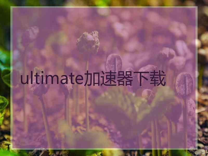 ultimate加速器下载