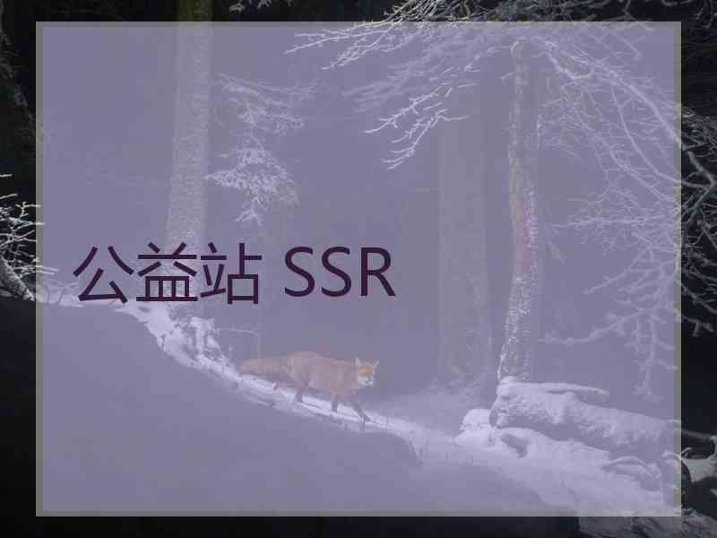 公益站 SSR