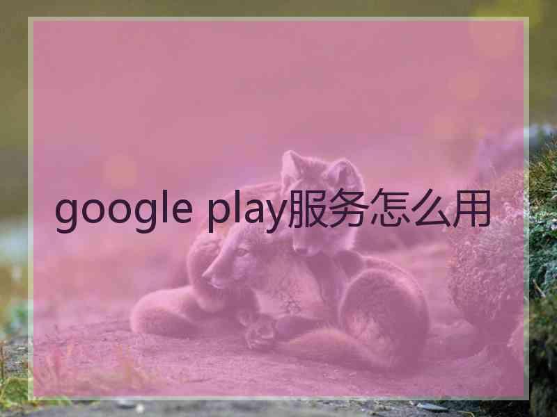 google play服务怎么用