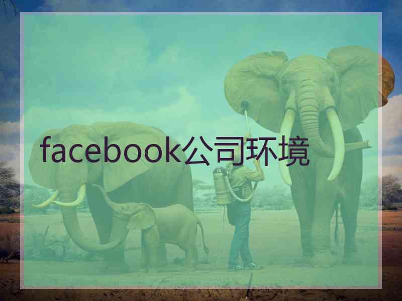 facebook公司环境