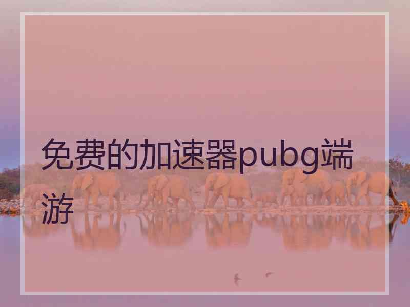 免费的加速器pubg端游