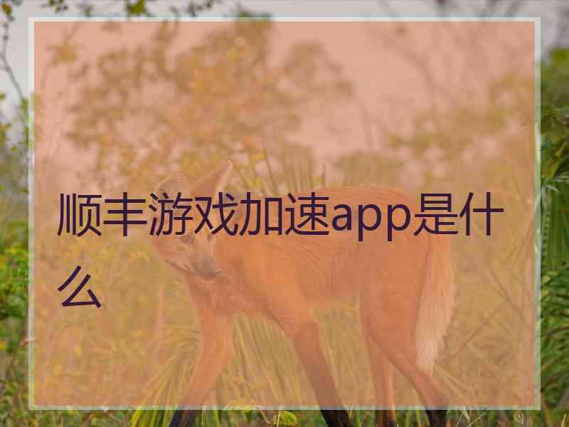 顺丰游戏加速app是什么