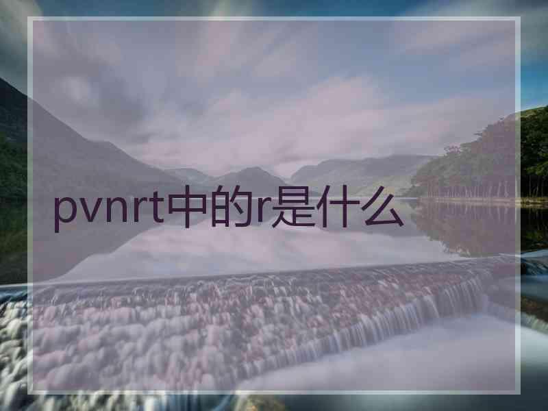 pvnrt中的r是什么