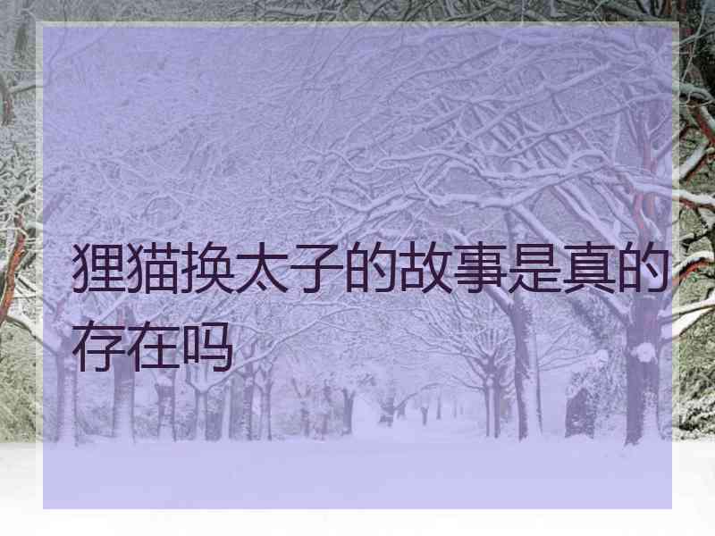 狸猫换太子的故事是真的存在吗