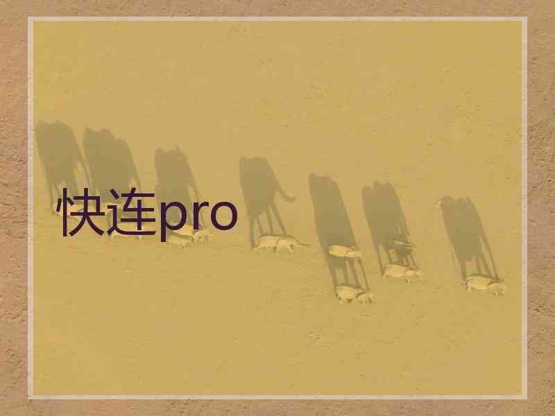 快连pro