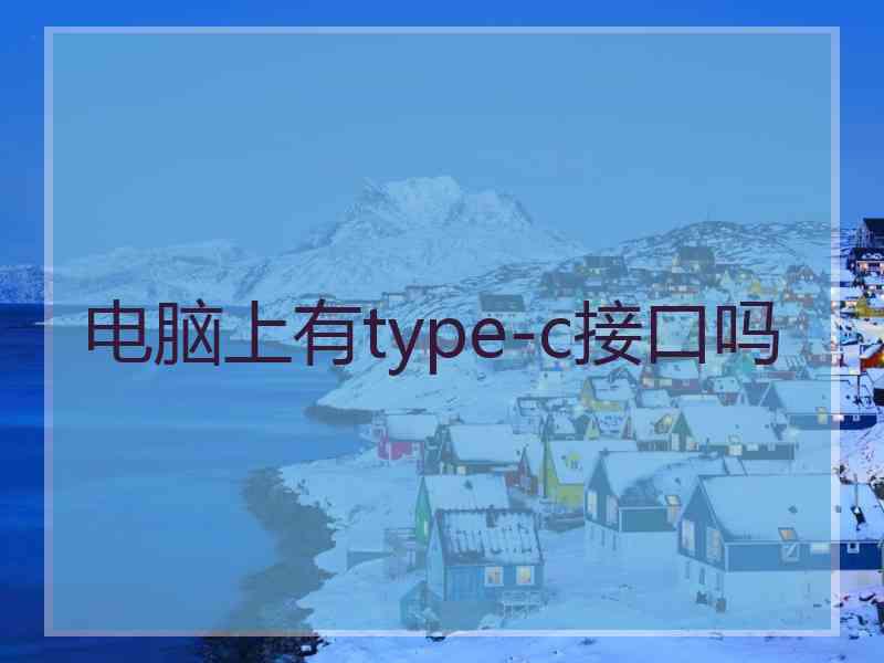 电脑上有type-c接口吗