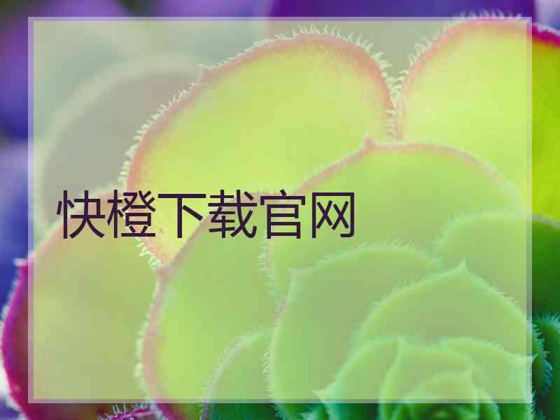 快橙下载官网