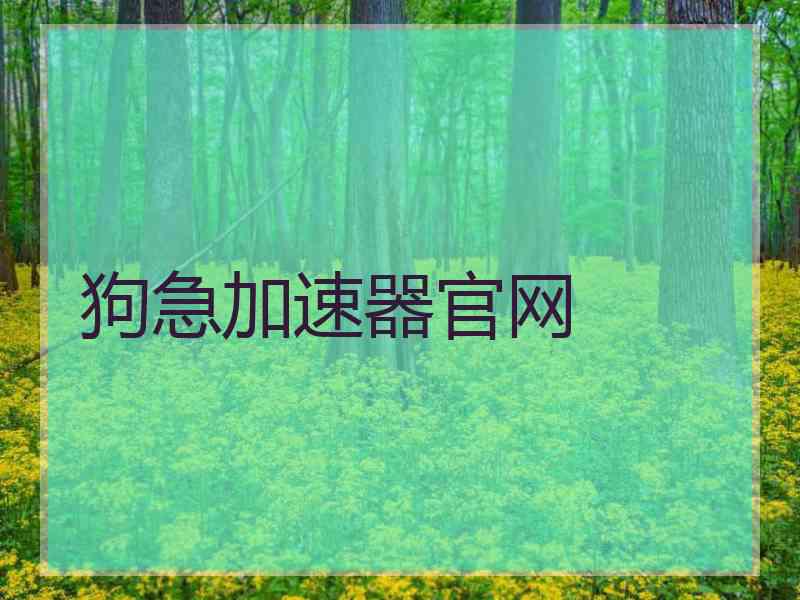 狗急加速器官网