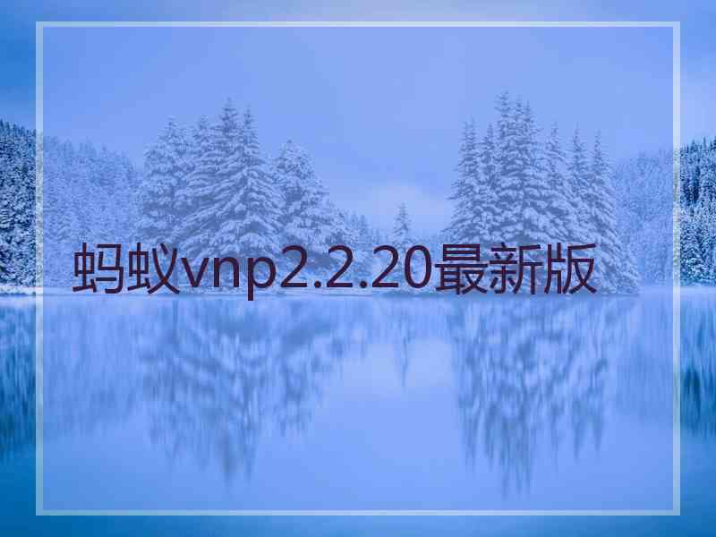 蚂蚁vnp2.2.20最新版