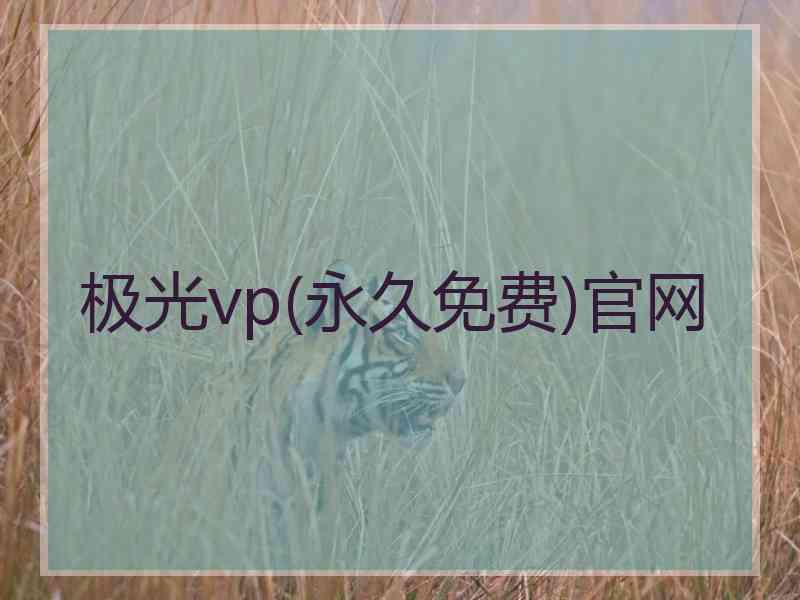 极光vp(永久免费)官网